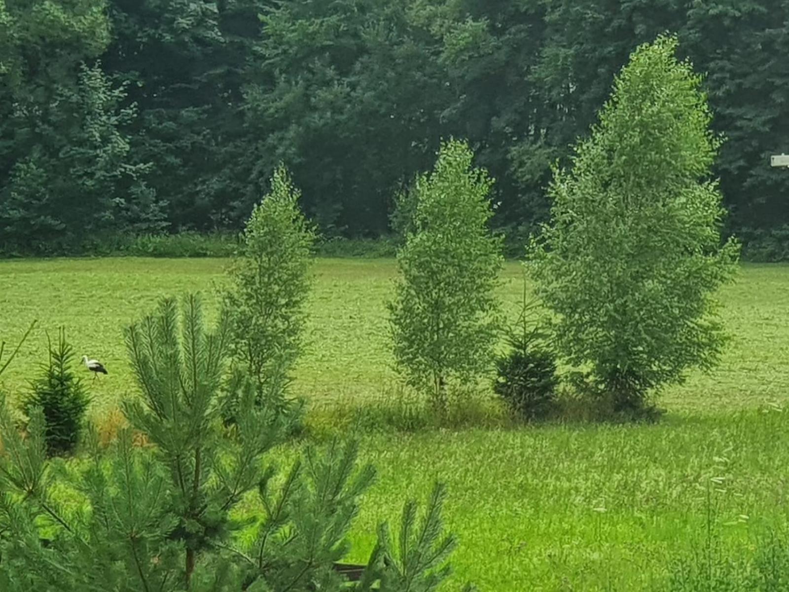 Wellness-Beskydy Villa Prostřední Bečva Екстериор снимка
